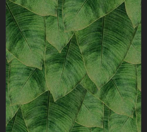 Cuadro Banana Leaf III
