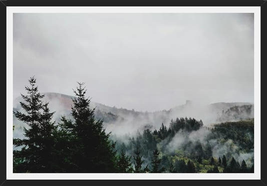 Cuadro Foggy Wilderness