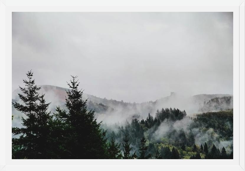 Cuadro Foggy Wilderness