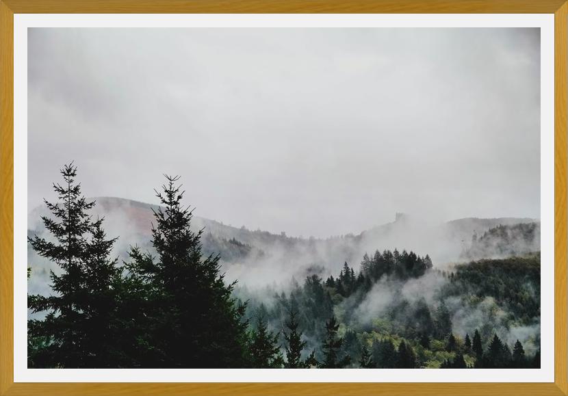 Cuadro Foggy Wilderness
