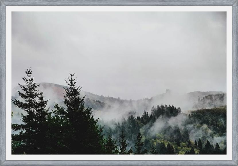 Cuadro Foggy Wilderness