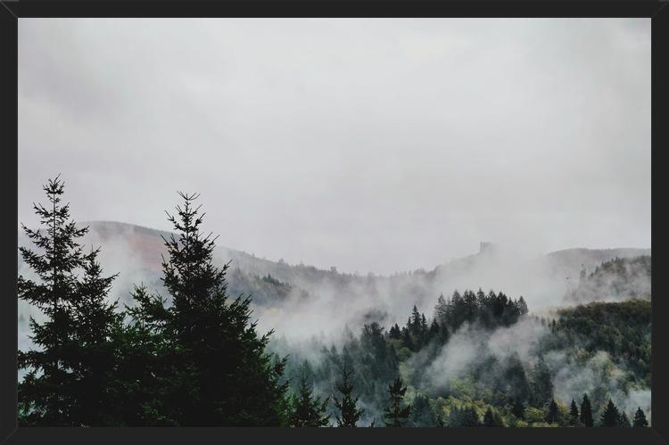 Cuadro Foggy Wilderness