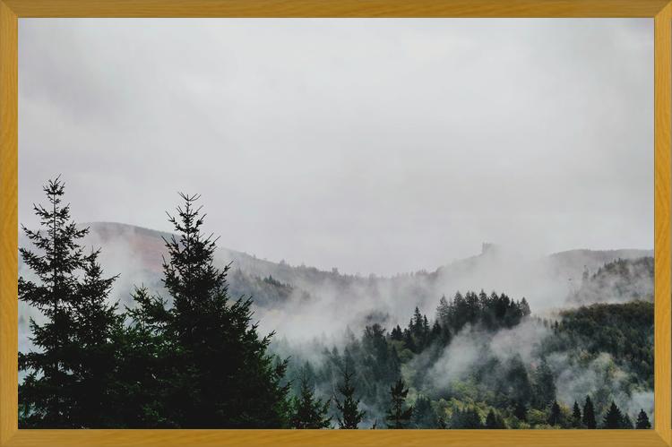 Cuadro Foggy Wilderness
