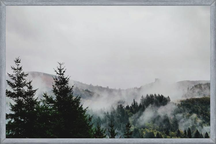 Cuadro Foggy Wilderness