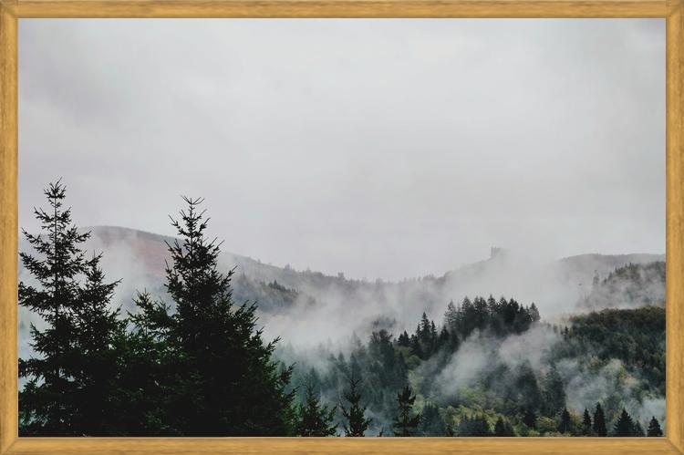 Cuadro Foggy Wilderness