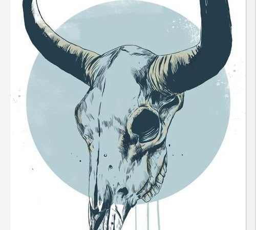 Cuadro Bull skull