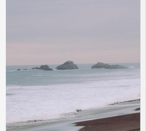 Cuadro Relajo, Constitución, 2019