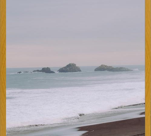 Cuadro Relajo, Constitución, 2019