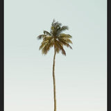 Cuadro La palmera sola