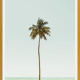 Cuadro La palmera sola