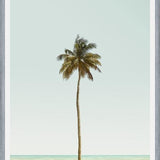 Cuadro La palmera sola