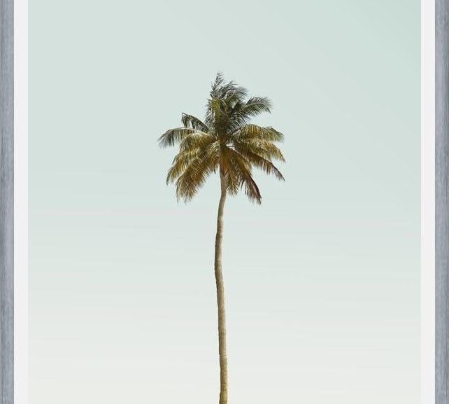Cuadro La palmera sola
