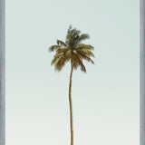 Cuadro La palmera sola