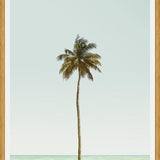 Cuadro La palmera sola