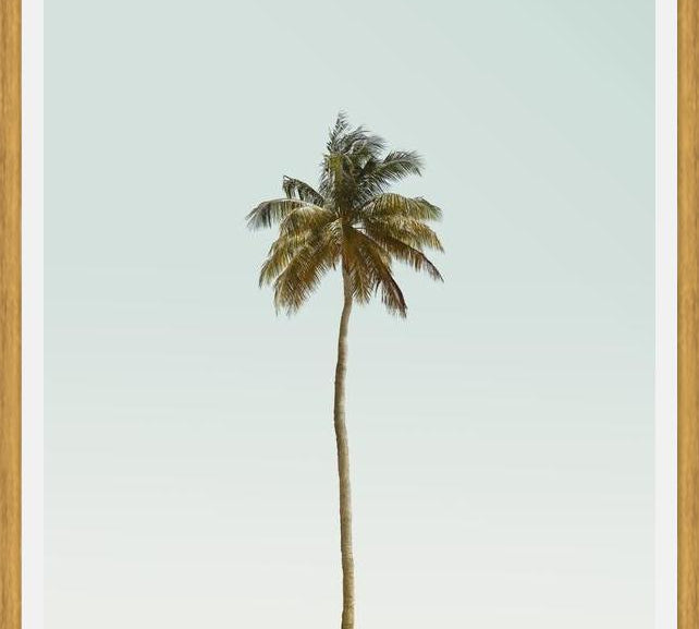 Cuadro La palmera sola