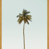 Cuadro La palmera sola