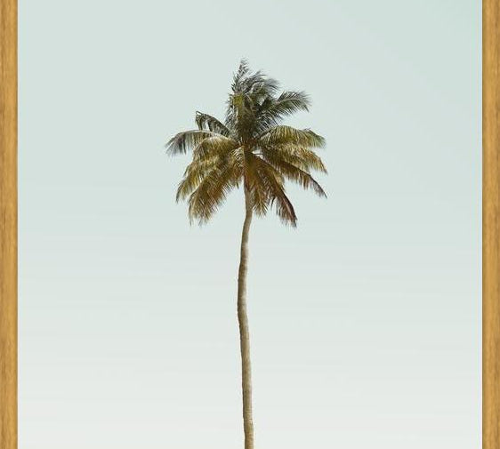 Cuadro La palmera sola