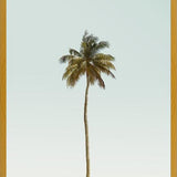 Cuadro La palmera sola