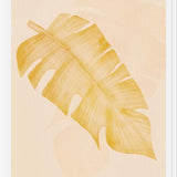 Cuadro Leaves 01y