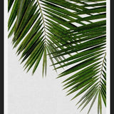 Cuadro Palm Leaf II