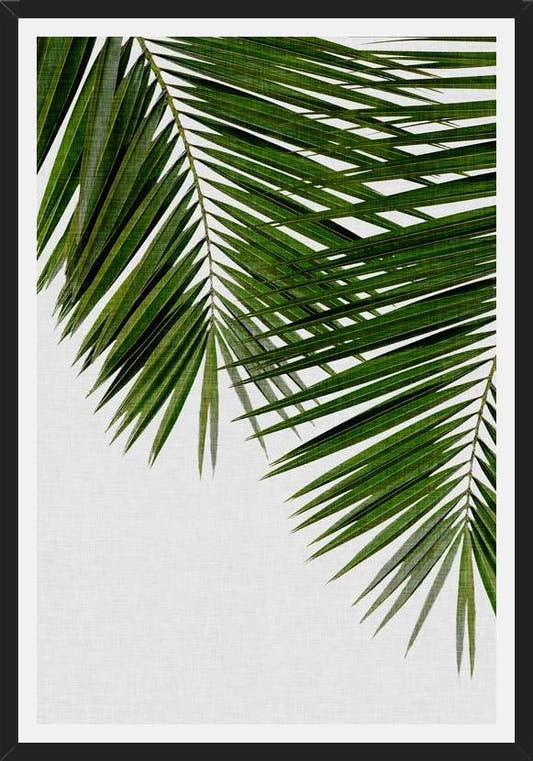 Cuadro Palm Leaf II