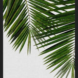 Cuadro Palm Leaf II