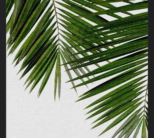 Cuadro Palm Leaf II