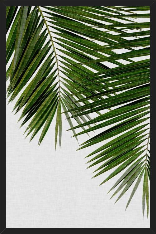 Cuadro Palm Leaf II