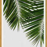Cuadro Palm Leaf II