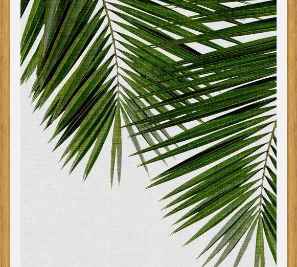 Cuadro Palm Leaf II