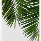 Cuadro Palm Leaf II