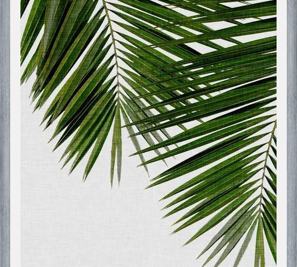 Cuadro Palm Leaf II