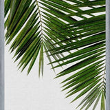Cuadro Palm Leaf II