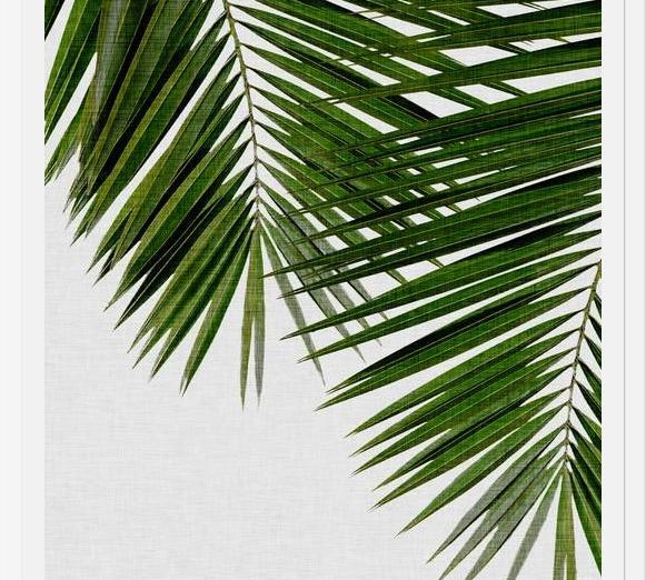 Cuadro Palm Leaf II