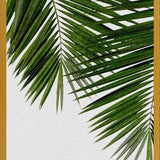 Cuadro Palm Leaf II