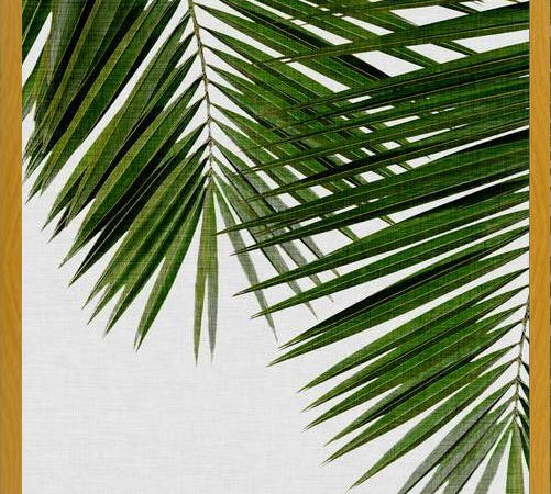 Cuadro Palm Leaf II