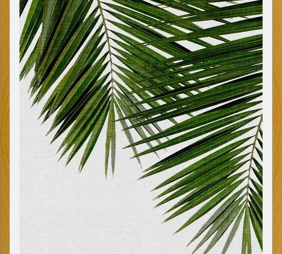 Cuadro Palm Leaf II