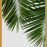 Cuadro Palm Leaf II