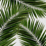 Canvas Palm Leaf III