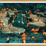 Cuadro Flamingo Creek