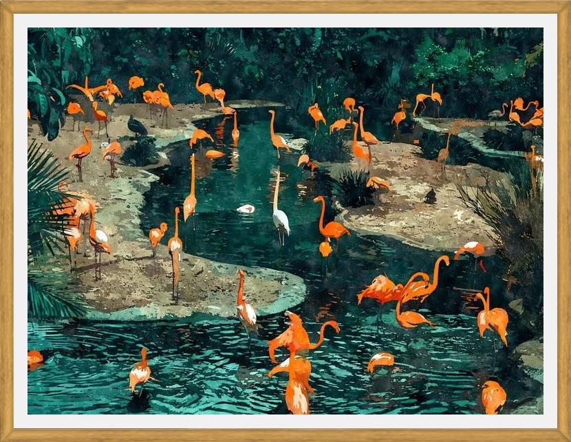 Cuadro Flamingo Creek