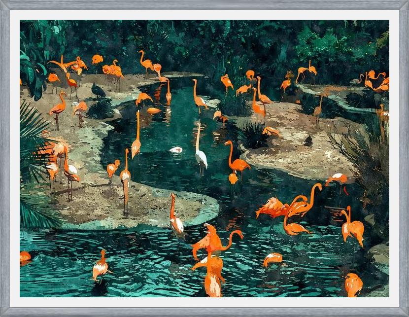 Cuadro Flamingo Creek