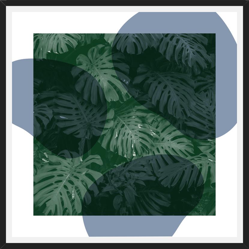 Cuadro Tropical Leaves Blue