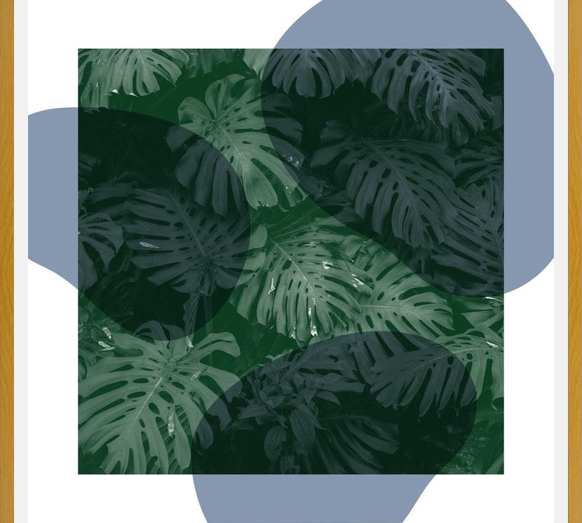 Cuadro Tropical Leaves Blue