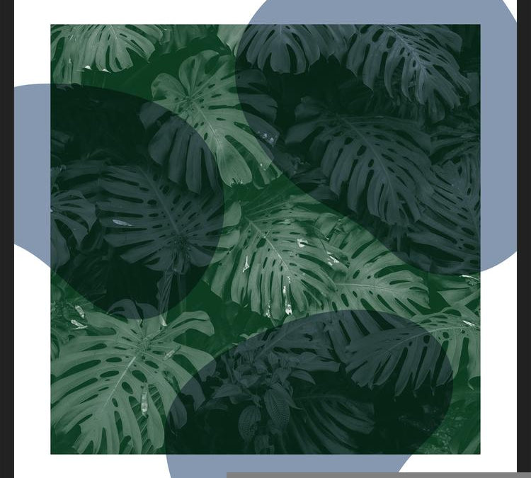 Cuadro Tropical Leaves Blue