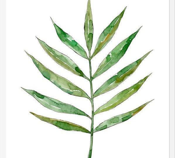 Cuadro Leaf #01