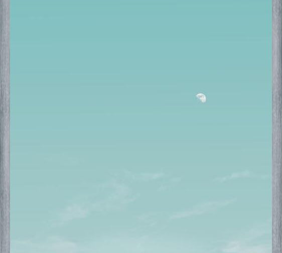 Cuadro El escarabajo y la luna