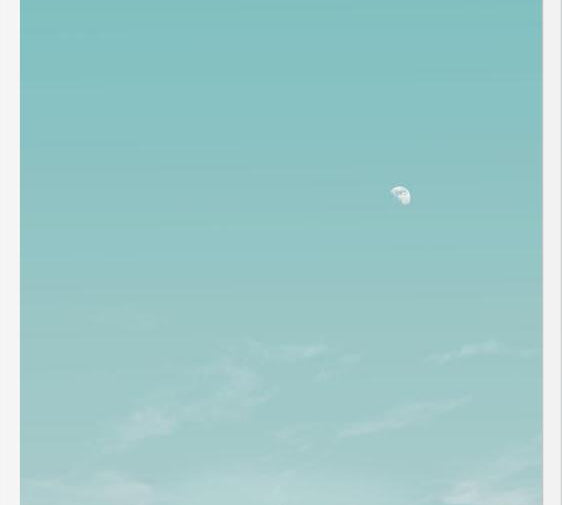 Cuadro El escarabajo y la luna