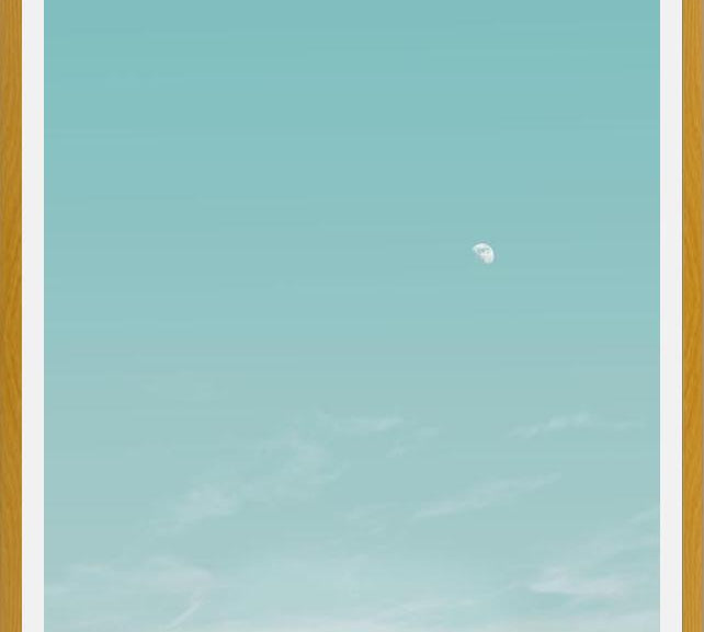 Cuadro El escarabajo y la luna