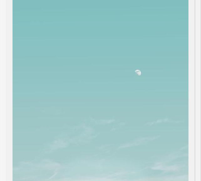 Cuadro El escarabajo y la luna